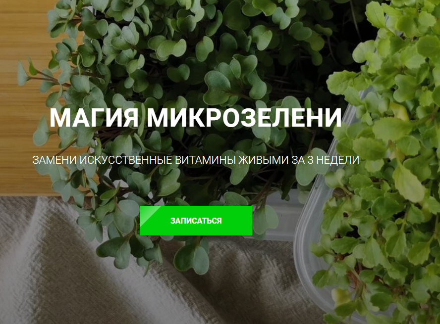 [Ольга Халина] Магия микрозелени (2023)_0.png